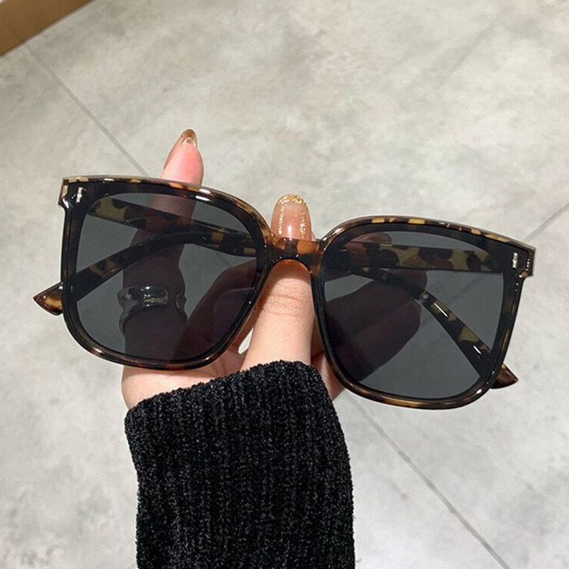 Ofra Sunglasses
