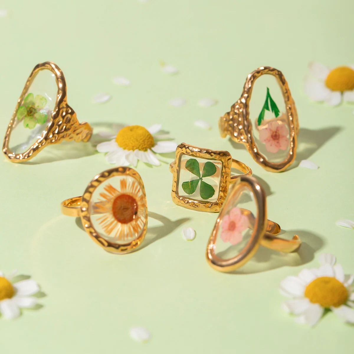 Judit Rings