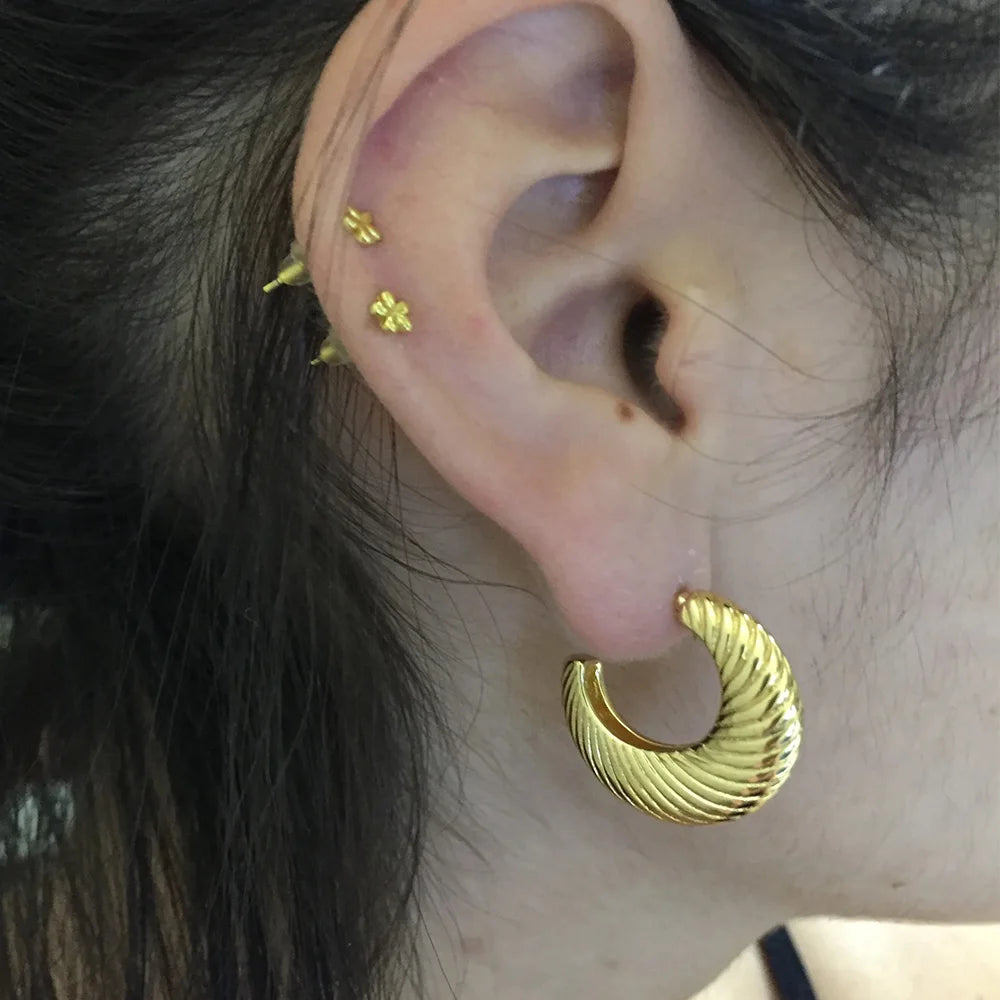 Sarahi Earrings