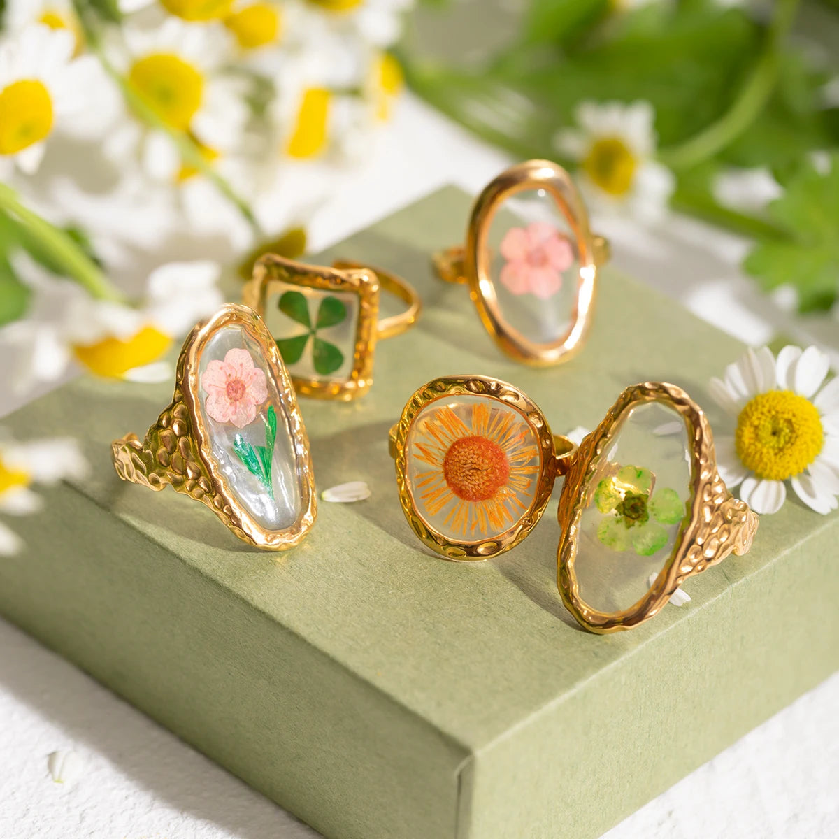 Judit Rings